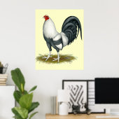 American Game Silver Blue Gamecock Poster (Thuiskantoor)