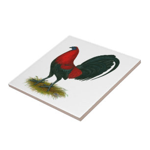 American Gamecock: Bruin Rood Tegeltje