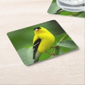 American Goldfinch Drink Onderzetter (Schuin)