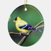 American Goldfinch Ornament (Links)