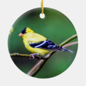 American Goldfinch Ornament (Achterkant)