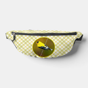 American Goldfinch Songbird Photo originale