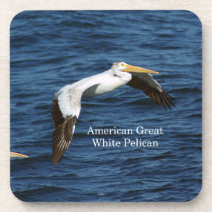American Great White Pelican 6 dessous de verre en