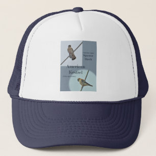 American Kestrel (Falco sparverius) Objecten Trucker Pet