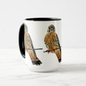 American Kestrel Falcon Mok (Voorkant links)