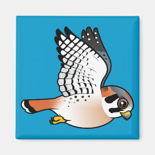 American Kestrel in vlucht Magneet