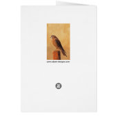 American Kestrel Painting - Original Bird Art (Achterkant)