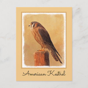 American Kestrel Painting - Original Bird Art Briefkaart