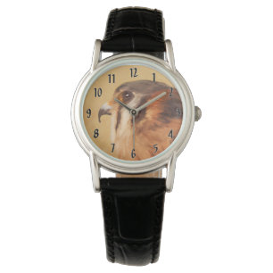 American Kestrel Painting - Original Bird Art Horloge