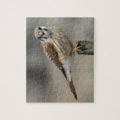 American Kestrel Puzzle Legpuzzel (Verticaal)