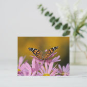 American Lady Butterfly & Clara Curtis Mums Briefkaart (Staand voorkant)
