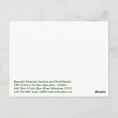 American Lady Butterfly & Clara Curtis Mums Briefkaart (Achterkant)