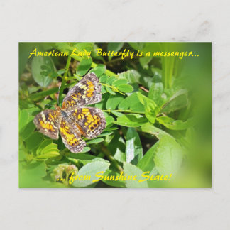 American Lady Butterfly est un messager, carte pos