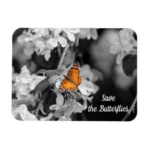 American Lady Butterfly on Blossom Magnet Magneet