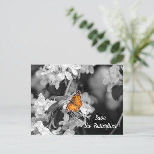 American Lady Butterfly op Apple Blossom Briefkaar Briefkaart
