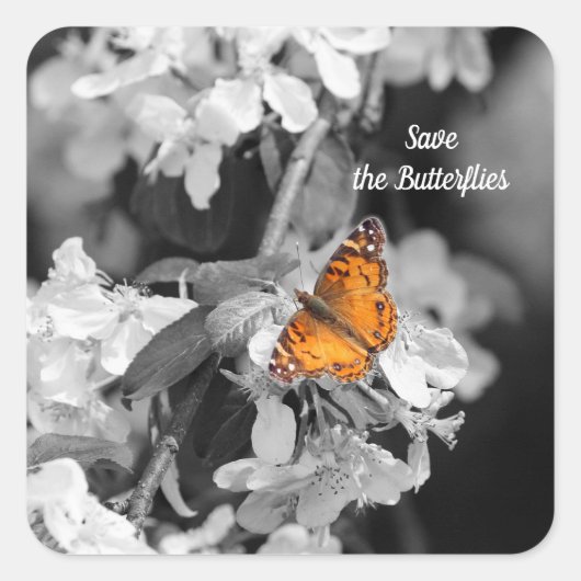 American Lady Butterfly op Apple Blossom Stickers (Voorkant)