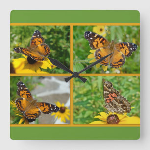 American Lady Butterfly - Vanessa virginiensis Vierkante Klok