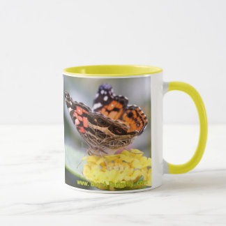 American Painly Butterfly Lifecycle Coffee M Mok