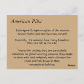 American Pika Briefkaart (Achterkant)