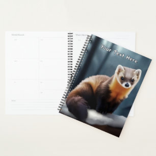 American Pine Marten