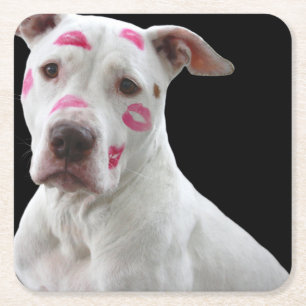 American Pit Bull Terrier met kusjes Vierkante Kartonnen Onderzetter