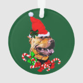 American Pit Bull Terrier Noël (dos)