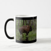 American Plaines Buffalo Bison Artwork Café Mug (Gauche)