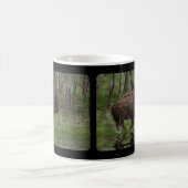 American Plaines Buffalo Bison Artwork Café Mug (Centre)
