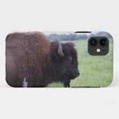 American Plains Buffalo Bison iPhone 5 Hoesje (Achterkant (horizontaal))