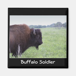 American Plains Buffalo Bison Magnet Magneet