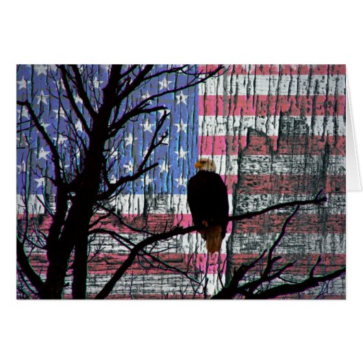 American Pride (Devant horizontal)