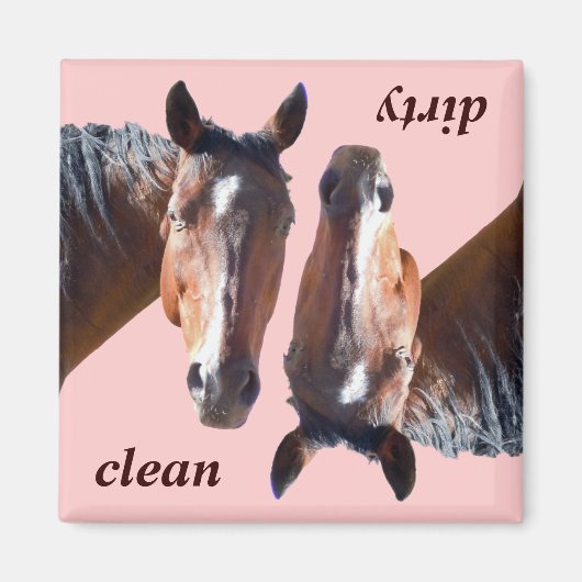 American Quarter Horse Lave-vaisselle Magnet (Devant)