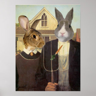AMERICAN RABBIT-POSTER POSTER