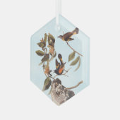 American Redstart Audubon Birds and Wasp Nest Glas Ornament (Voorkant links)