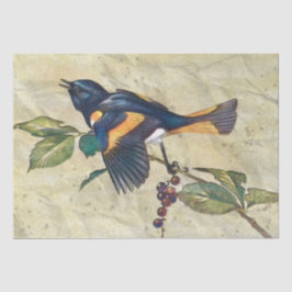 American Redstart Bird Decoupage Tissue Paper Tissuepapier