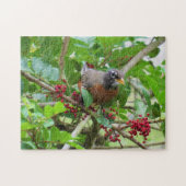American Robin - Backyard Bird Series - Puzzle (Horizontal)