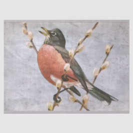 American Robin Bird Decoupage Tissue Paper Tissuepapier