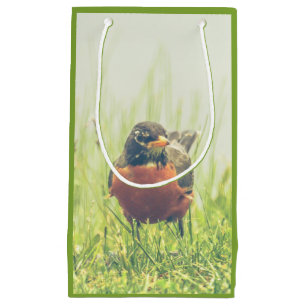 American Robin Bird Green Klein Cadeauzakje