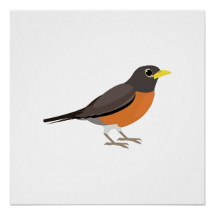 American Robin Illustration Perfect Poster