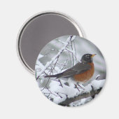 American Robin Magnet (Recto/Verso)