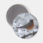 American Robin Magnet Magneet (Voorkant / Achterkant)