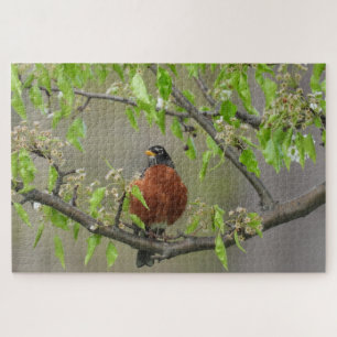 American Robin Perched on Branch w/Spring Blooms Legpuzzel