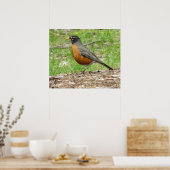 American Robin Poster (Keuken)