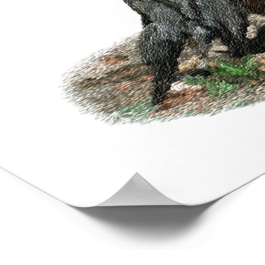 American Robin Prints & Posters (Coin)