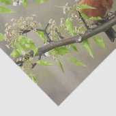 American Robin Spring Blossom Tissuepapier (Detail)