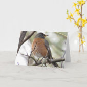 American Robin Wenskaart Kaart (Gele Bloem)