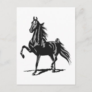 American Saddlebred Briefkaart