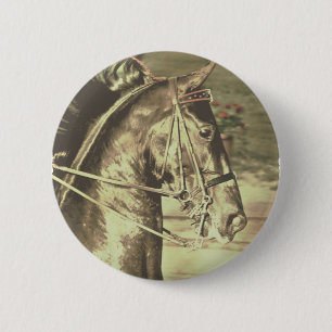 American Saddlebred Faux Ronde Button 5,7 Cm