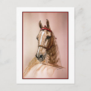 American Saddlebred Horse Briefkaart