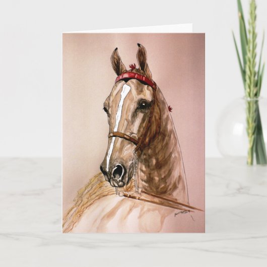 American Saddlebred Horse Kaart (Voorkant)